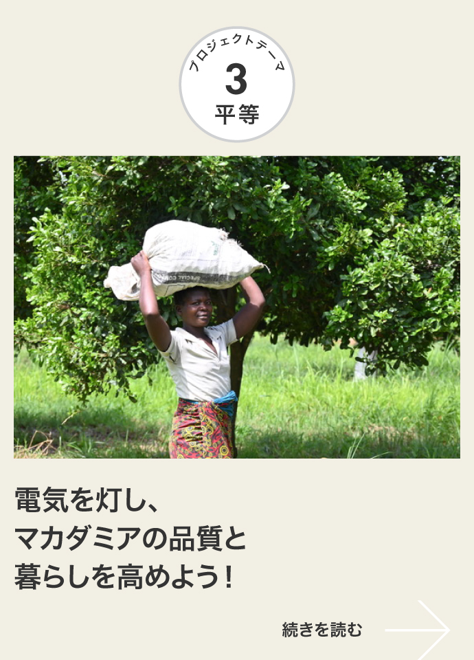 平等